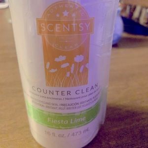 💚 SCENTSY Items